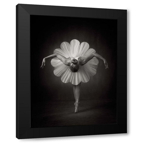 Floral Ballet Black Modern Wood Framed Art Print with Double Matting by Studio, Catchlight