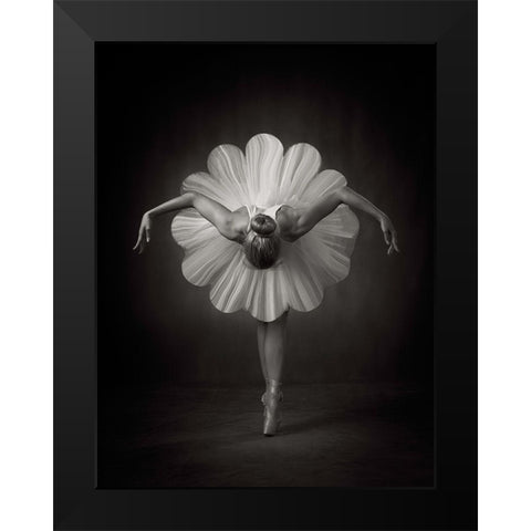 Floral Ballet Black Modern Wood Framed Art Print by Studio, Catchlight