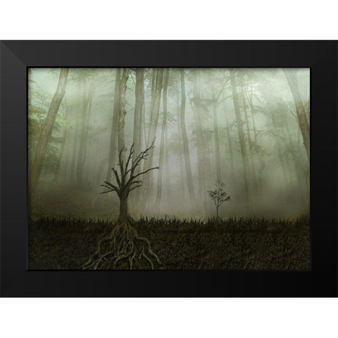 Root 1 Black Modern Wood Framed Art Print by Golchin, Aryana