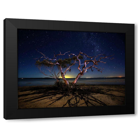 The Tree Black Modern Wood Framed Art Print by Brackstone, Mel