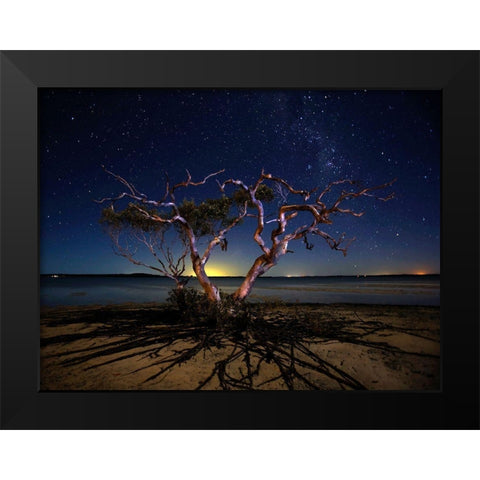 The Tree Black Modern Wood Framed Art Print by Brackstone, Mel