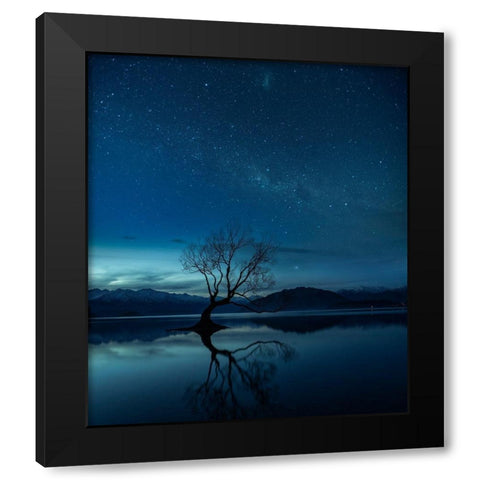 Wanaka Tree Black Modern Wood Framed Art Print by Cheng, Yu