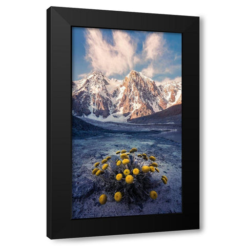 Snow Mountain Camomile A??Accappc??EÂ?A?? Black Modern Wood Framed Art Print by Qiye