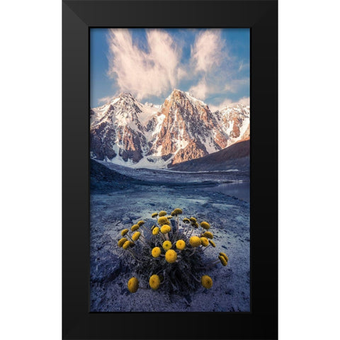 Snow Mountain Camomile A??Accappc??EÂ?A?? Black Modern Wood Framed Art Print by Qiye