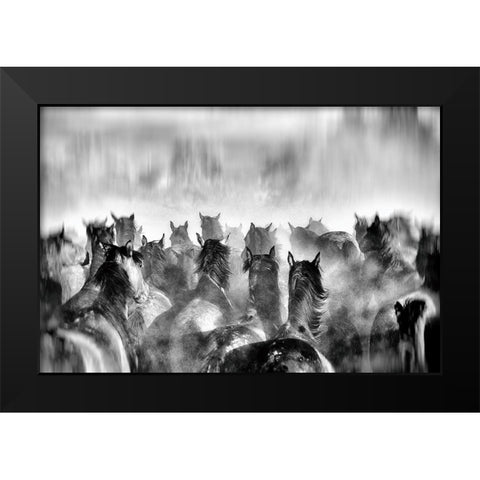 Horses Black Modern Wood Framed Art Print by Mete, Gilcan