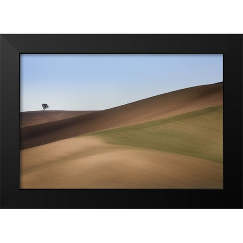 S.T. 009 Black Modern Wood Framed Art Print by Gray, Dorian