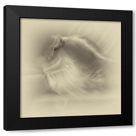 White On White Black Modern Wood Framed Art Print with Double Matting by Malovrh, Milan