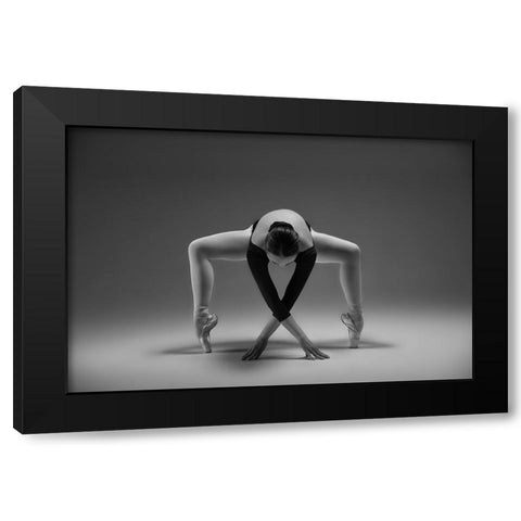 Elegant Black Modern Wood Framed Art Print with Double Matting by Li, Rob