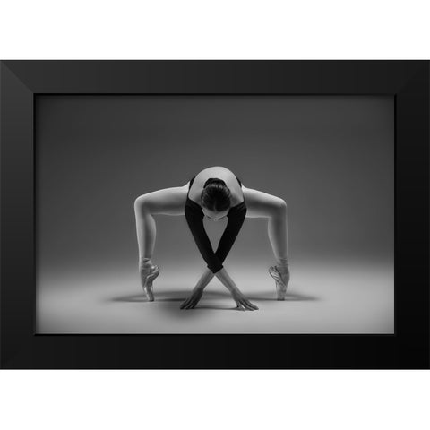 Elegant Black Modern Wood Framed Art Print by Li, Rob