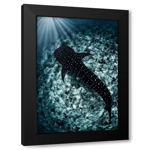 Ocean Line Black Modern Wood Framed Art Print by Narchuk, Andrey