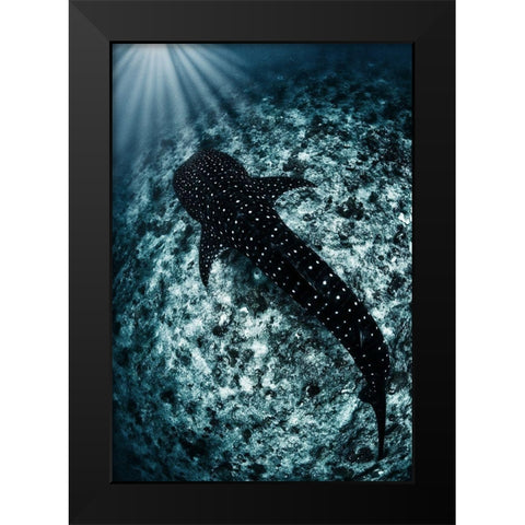 Ocean Line Black Modern Wood Framed Art Print by Narchuk, Andrey