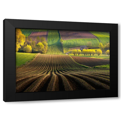 Shape Black Modern Wood Framed Art Print by Nienartowicz, Karol