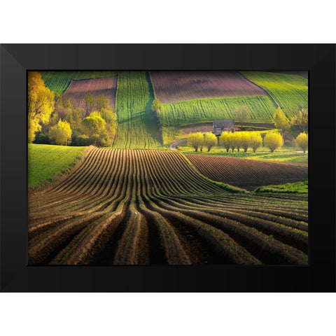 Shape Black Modern Wood Framed Art Print by Nienartowicz, Karol