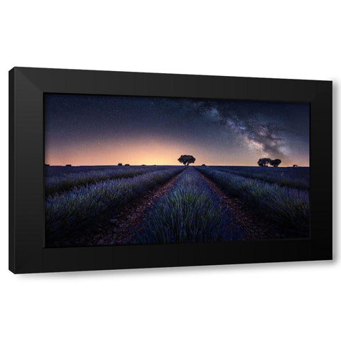 Lavender Fields Black Modern Wood Framed Art Print by Ruiz Dueso, Jorge