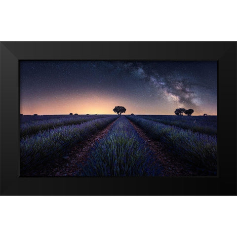 Lavender Fields Black Modern Wood Framed Art Print by Ruiz Dueso, Jorge