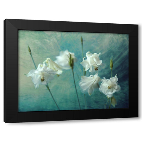 Crowns Of Thorns Black Modern Wood Framed Art Print by Kreiten, Mike