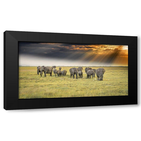 For The Love Of Elephants Black Modern Wood Framed Art Print by C. Sink, Jeffrey