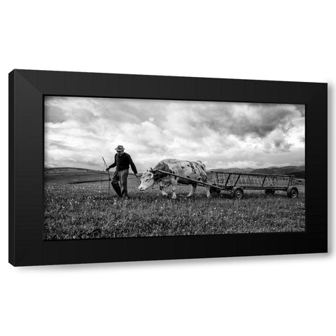 Bent Spine Black Modern Wood Framed Art Print with Double Matting by Toldi, Zoran