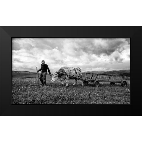 Bent Spine Black Modern Wood Framed Art Print by Toldi, Zoran