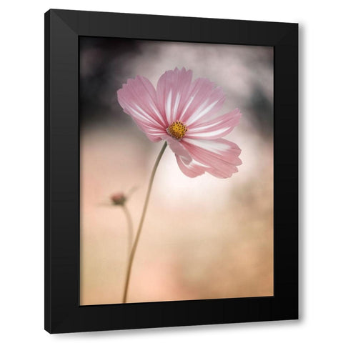 Cosmos Black Modern Wood Framed Art Print by Gronkjar, Lotte