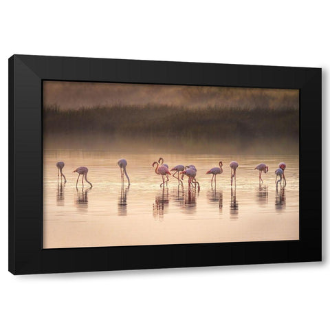 Photographic Ode To Monet Black Modern Wood Framed Art Print with Double Matting by C. Sink, Jeffrey