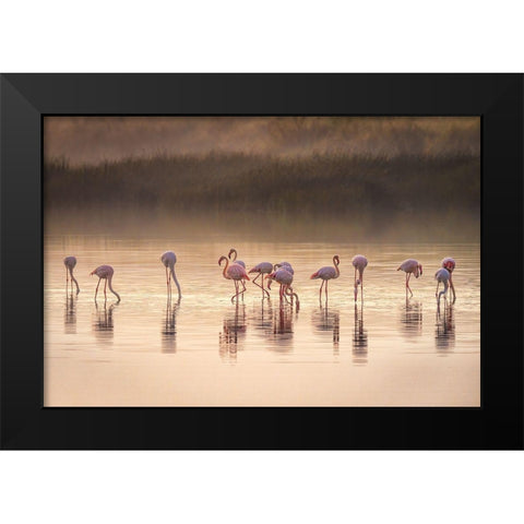 Photographic Ode To Monet Black Modern Wood Framed Art Print by C. Sink, Jeffrey