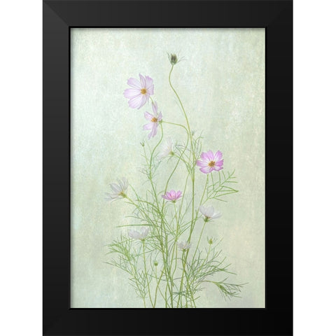 Cosmos Black Modern Wood Framed Art Print by W., Catherine
