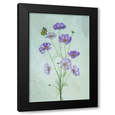 Elegant Cosmos Flowers Black Modern Wood Framed Art Print by Jacobs, Lydia