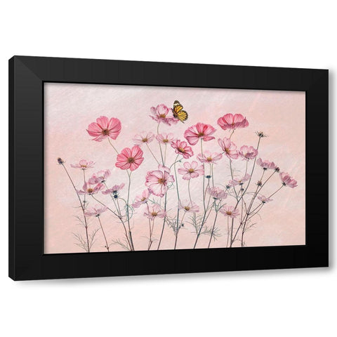 Cosmos And Butterfly Black Modern Wood Framed Art Print by Jacobs, Lydia