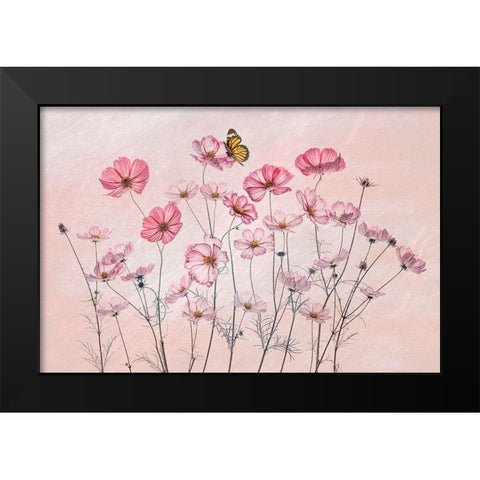 Cosmos And Butterfly Black Modern Wood Framed Art Print by Jacobs, Lydia