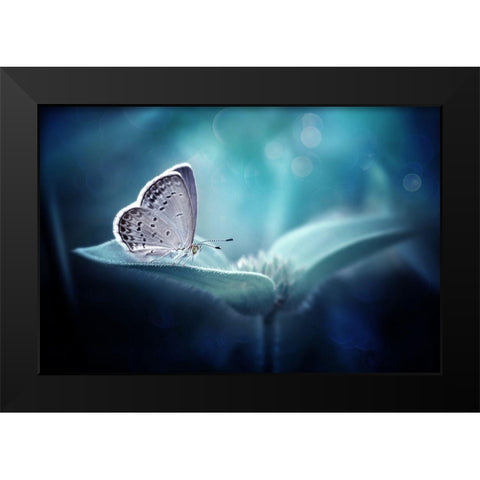 In Serenity Black Modern Wood Framed Art Print by Maududdin, Fauzan