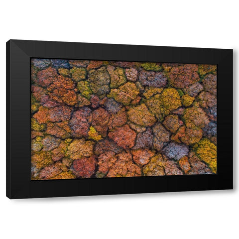 Above The Autumn Black Modern Wood Framed Art Print with Double Matting by Ruoppolo, Luigi