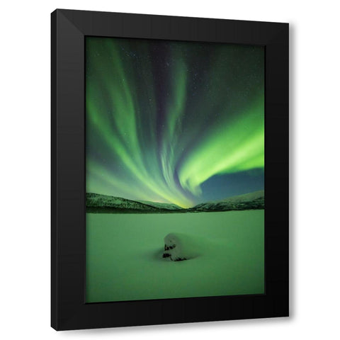 Branching Lights Black Modern Wood Framed Art Print by Mikelborg, Niklas