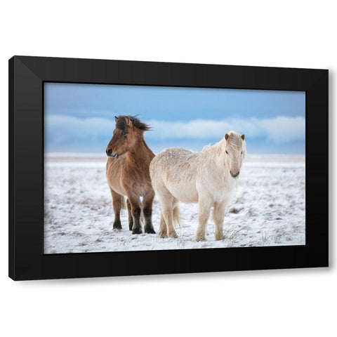 B R O T H E R S Black Modern Wood Framed Art Print with Double Matting by Fegari