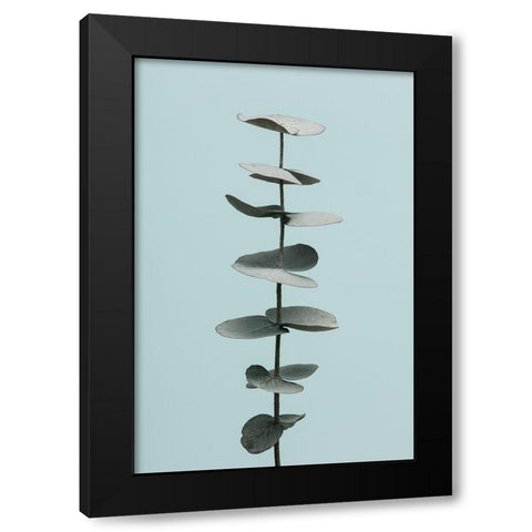 Eucalyptus Blue No 1 Black Modern Wood Framed Art Print with Double Matting by 1x Studio III