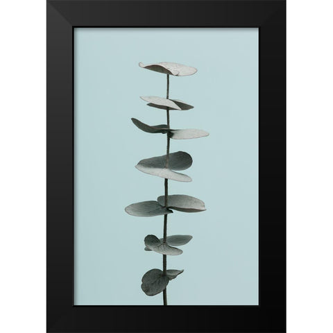 Eucalyptus Blue No 1 Black Modern Wood Framed Art Print by 1x Studio III