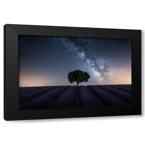 Tree And Milky Way Black Modern Wood Framed Art Print by Ruiz Dueso, Jorge