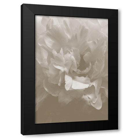 Peony_9 Black Modern Wood Framed Art Print by 1x Studio III