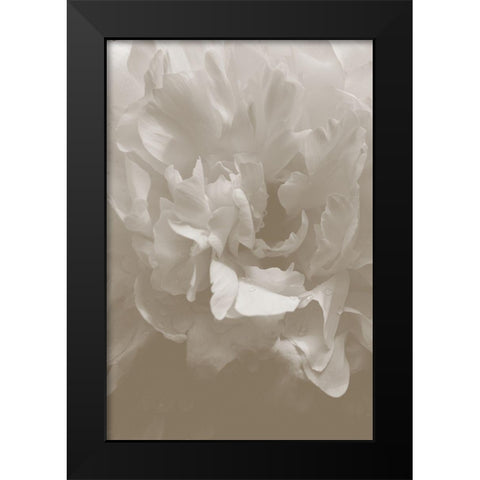 Peony_9 Black Modern Wood Framed Art Print by 1x Studio III