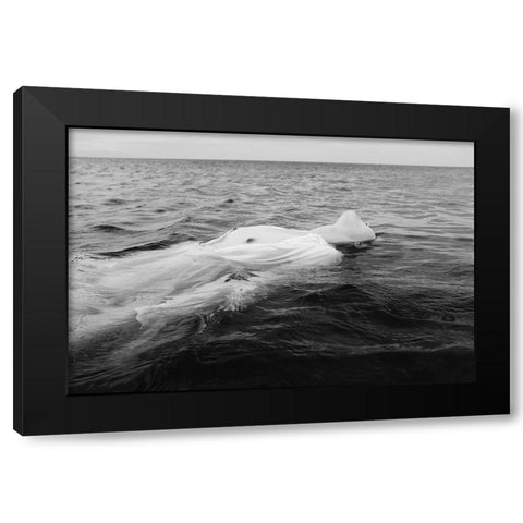 Ebb Tide Black Modern Wood Framed Art Print with Double Matting by Ishikura, Takaaki