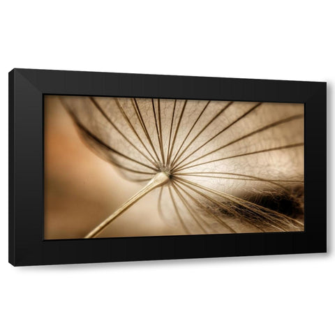 Nature blood vessels Black Modern Wood Framed Art Print by Pessach, Kobbie