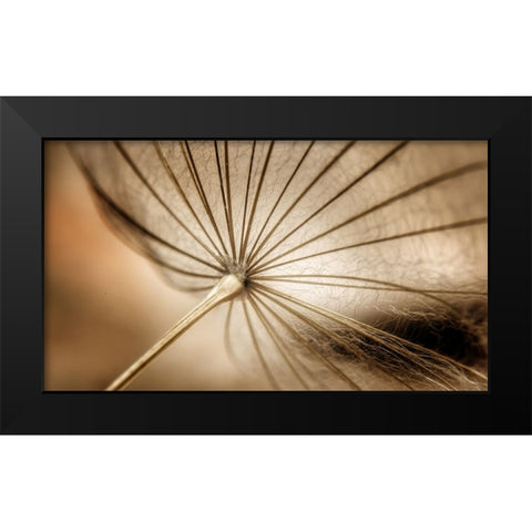 Nature blood vessels Black Modern Wood Framed Art Print by Pessach, Kobbie