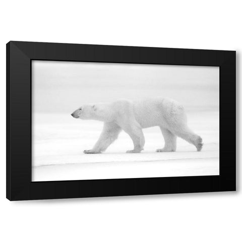 Just White Black Modern Wood Framed Art Print with Double Matting by Pozzi, Marco