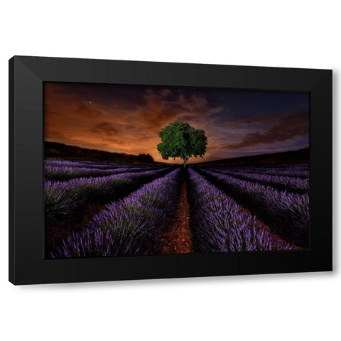Untitled Black Modern Wood Framed Art Print by Vega Toledano, Cesar