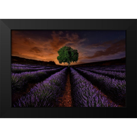 Untitled Black Modern Wood Framed Art Print by Vega Toledano, Cesar