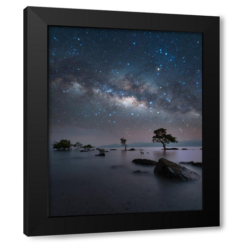 Chidiya Tapu Black Modern Wood Framed Art Print by Chander, Vikas
