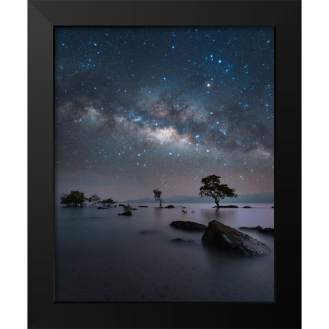 Chidiya Tapu Black Modern Wood Framed Art Print by Chander, Vikas