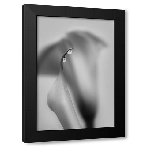Two Drops Black Modern Wood Framed Art Print by Chenglu, Simon