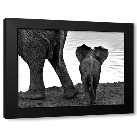 Together Black Modern Wood Framed Art Print by Oberai, Jassi