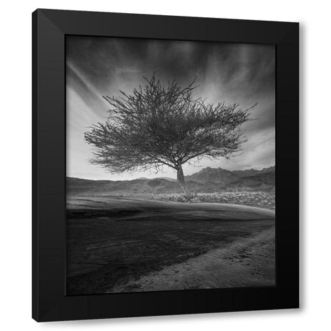 Revival Black Modern Wood Framed Art Print with Double Matting by Alsubhi, Anas